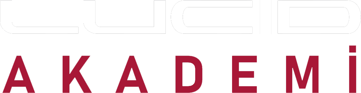 LUCID AKADEMİ